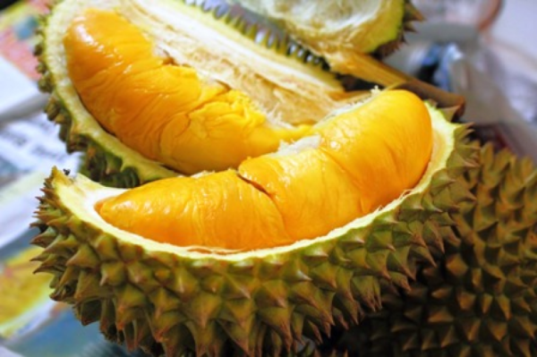 musang king